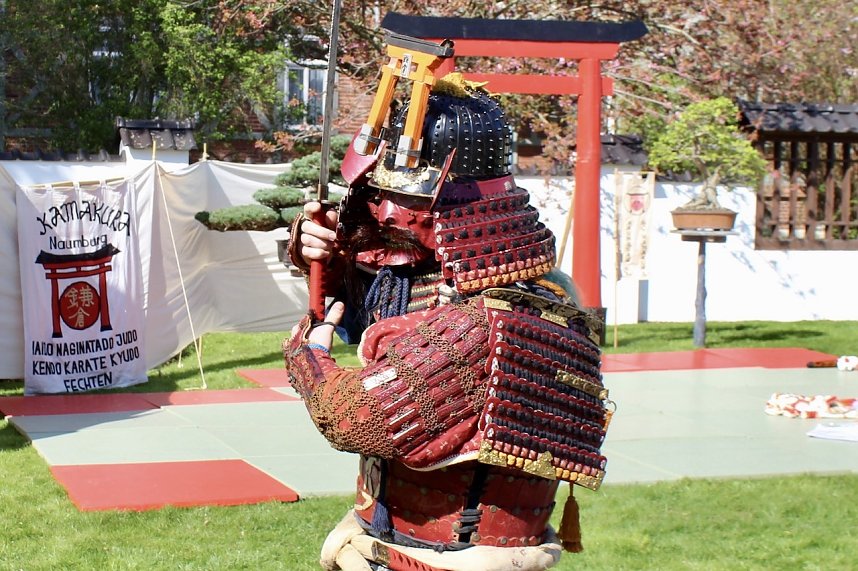 Impressionen vom Hanami 2023 in Bad Langensalza