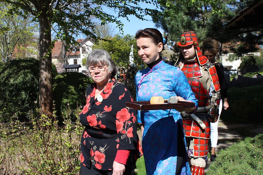 Impressionen vom Hanami 2023 in Bad Langensalza