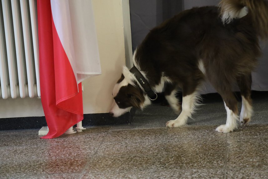 Besuch bei der Nordh&auml;user Hundestaffel