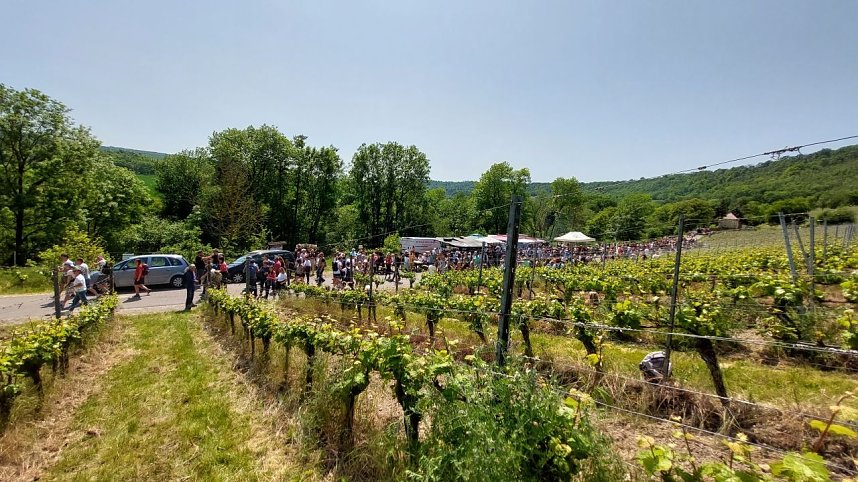 Unterwegs auf der Saale-Weinmeile