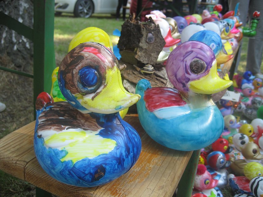 Entenrennen in Bad Langensalza