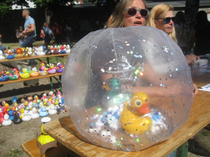 Entenrennen in Bad Langensalza