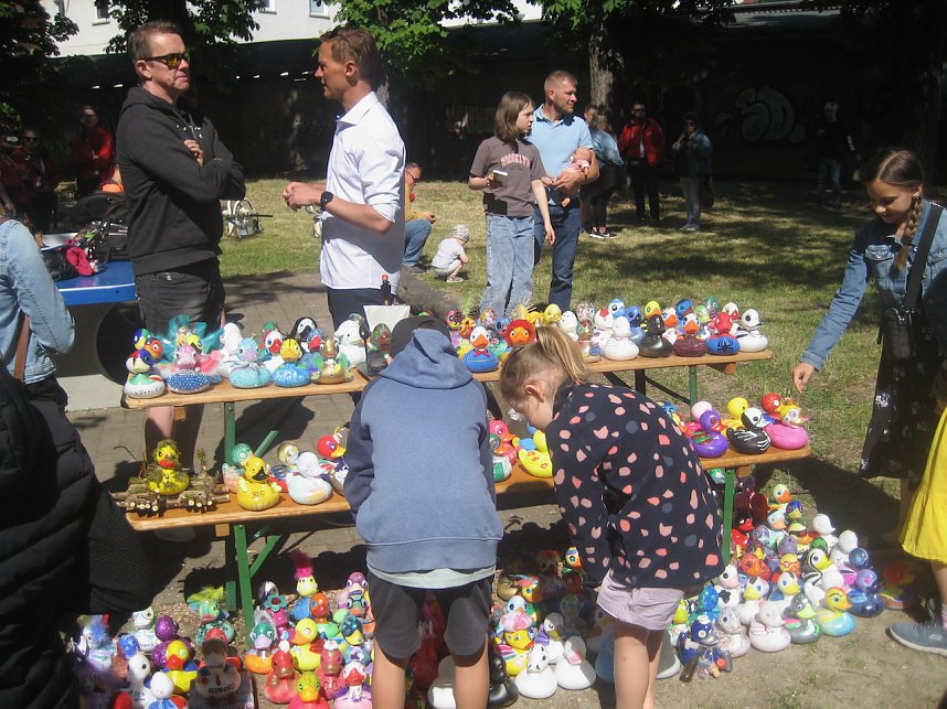 Entenrennen in Bad Langensalza