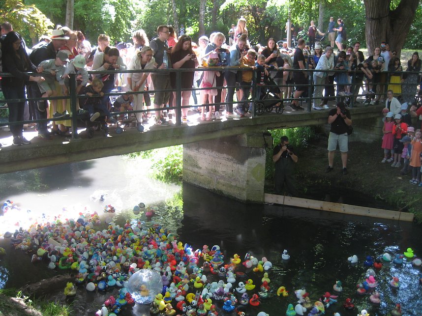 Entenrennen in Bad Langensalza