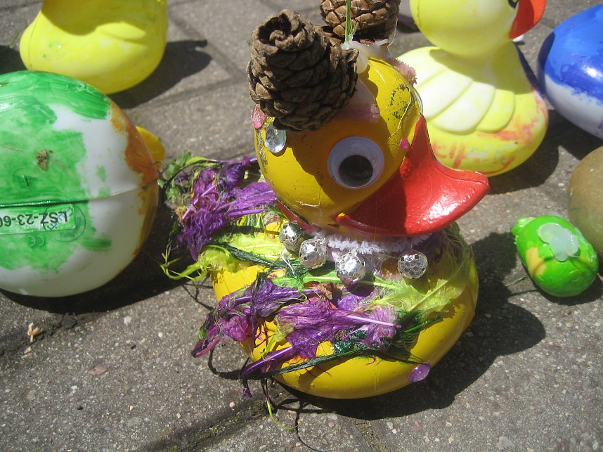 Entenrennen in Bad Langensalza