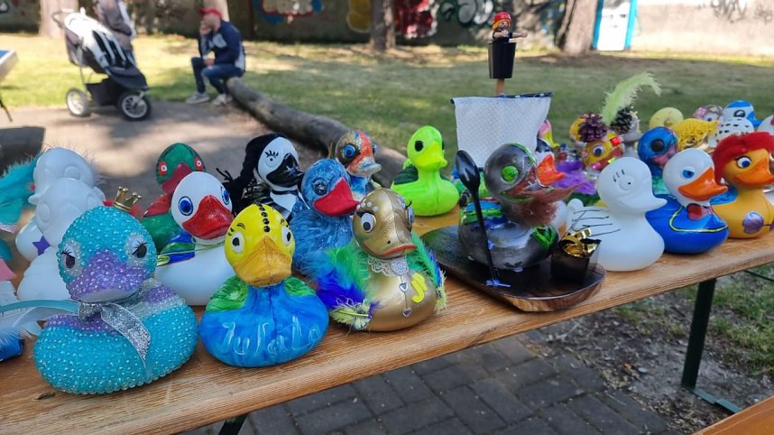 Ein begeisterndes Entenrennen verzauberte Bad Langensalza