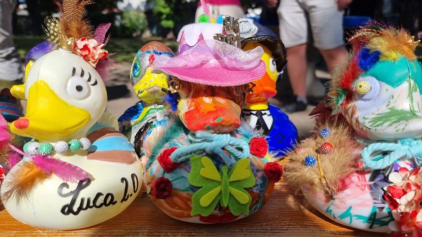 Ein begeisterndes Entenrennen verzauberte Bad Langensalza