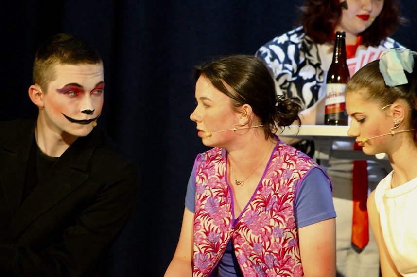 Theatergruppe des Salza-Gymnasiums feierte umjubelte Premiere mit ihren St&uuml;ck Alice im ANDERLAND, frei nach Lewis Carrol.