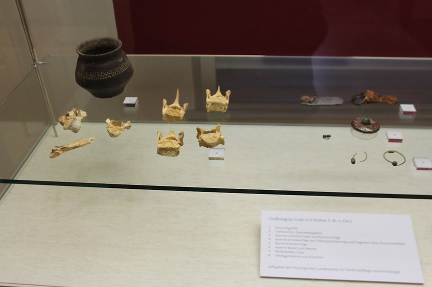 Ausstellungser&ouml;ffnung im Stadtmuseum