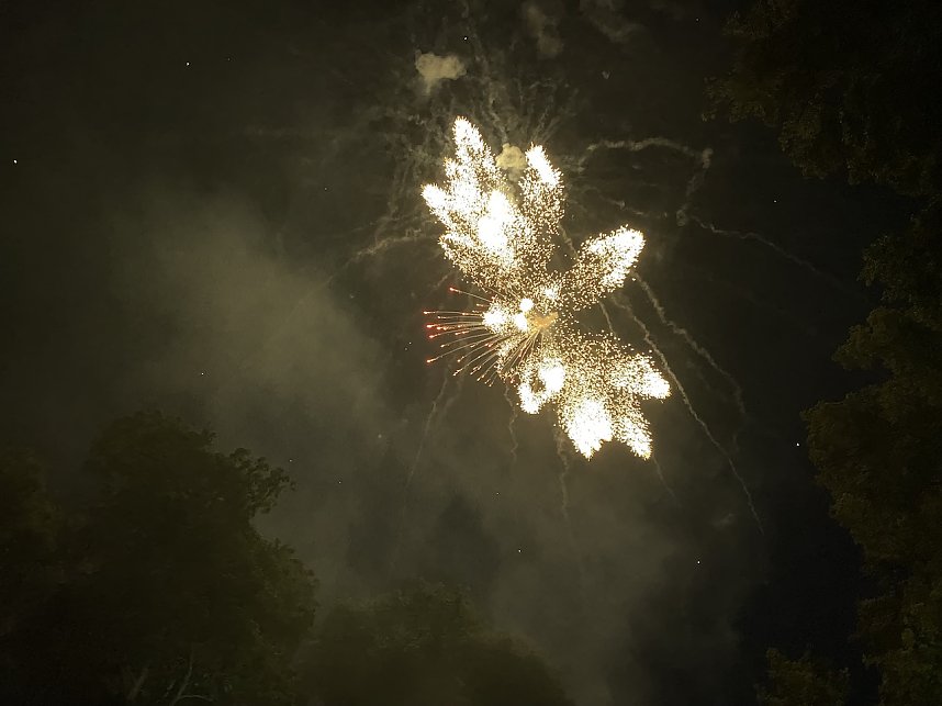 Brunnenfest Bad Langensalza