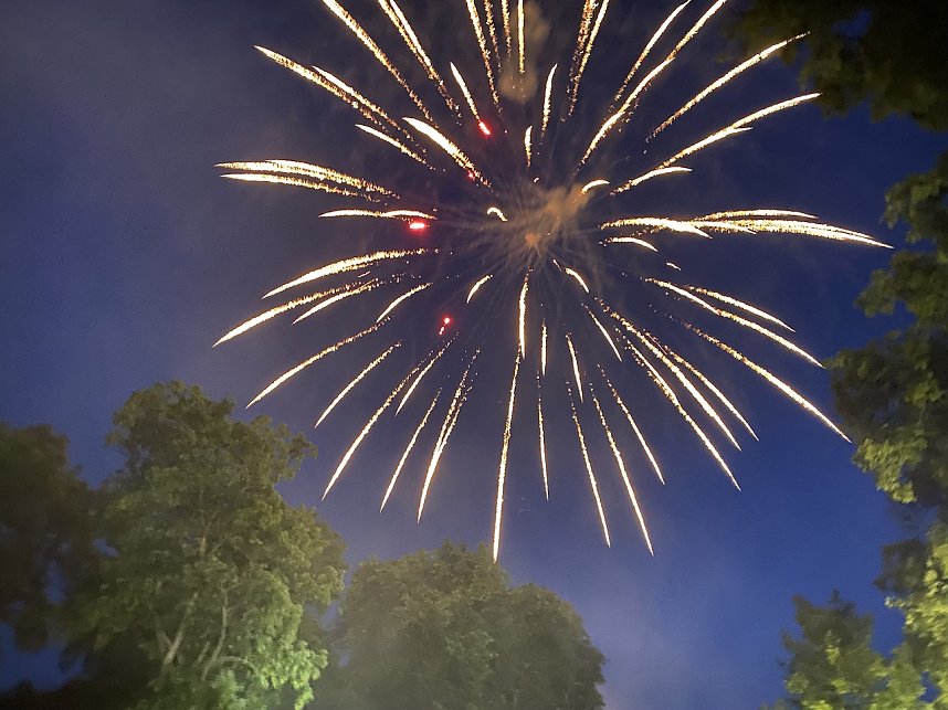 Brunnenfest Bad Langensalza