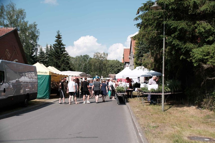 Peter Blei auf dem 31. Kunstmarkt in Friedrichsrode