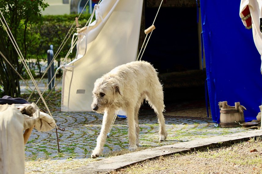 29. Mittelalterfest in Bad Langensalza 2023