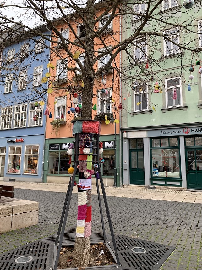 Kunstvolle Wollkreationen schm&uuml;cken die B&auml;ume der Bad Langensalzaer Altstadt