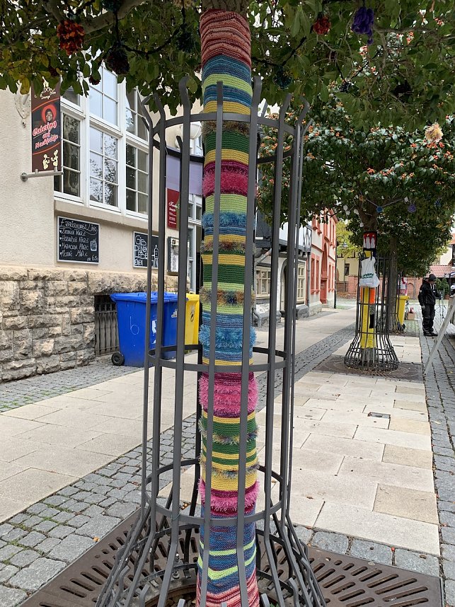 Kunstvolle Wollkreationen schm&uuml;cken die B&auml;ume der Bad Langensalzaer Altstadt
