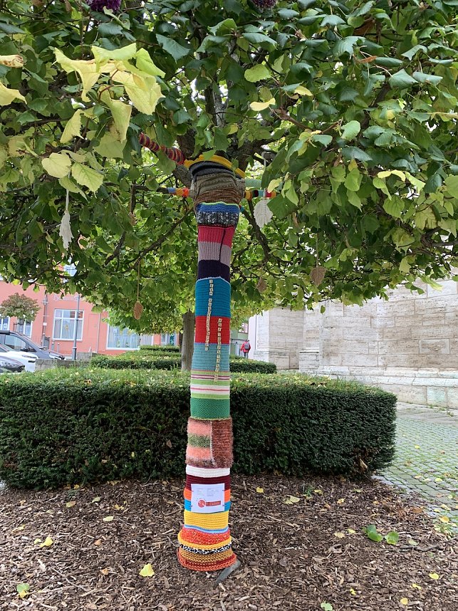 Kunstvolle Wollkreationen schm&uuml;cken die B&auml;ume der Bad Langensalzaer Altstadt