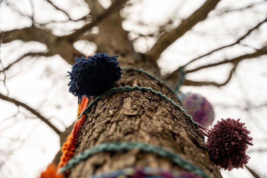 "Verflixt & Zugebommelt!" in der Bad Langensalzaer Innenstadt