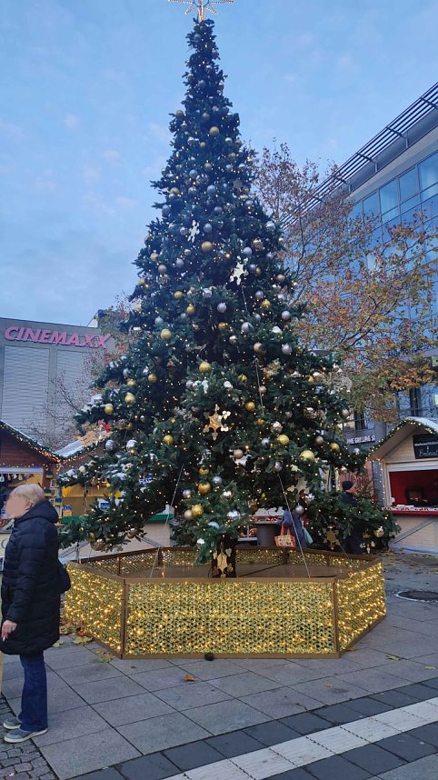 Peter Blei unterwegs in Magdeburg