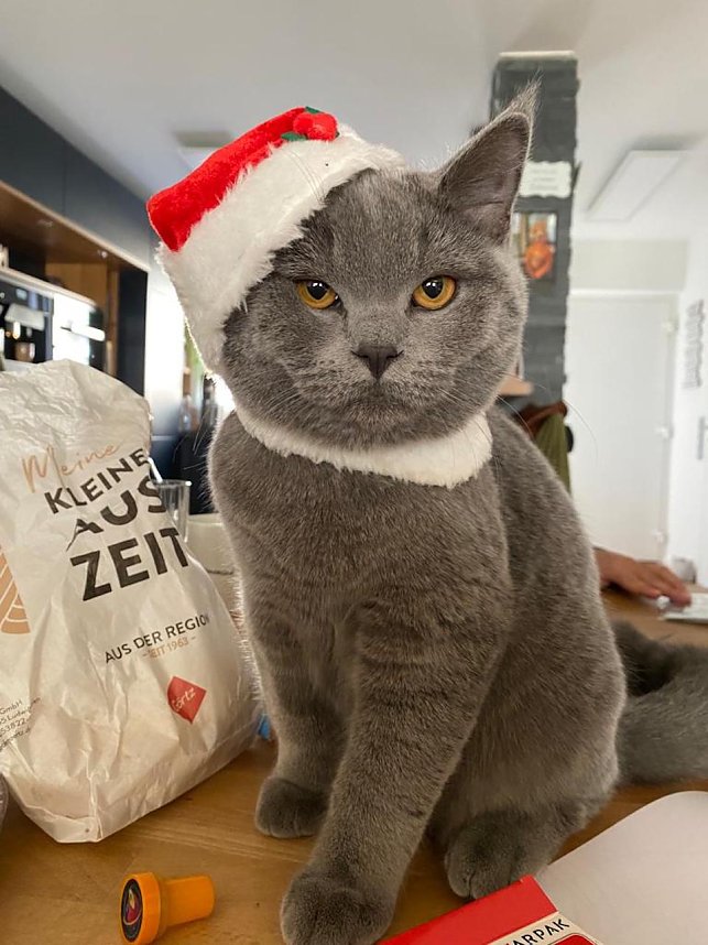 Selbstbewusster K&uuml;chenchef