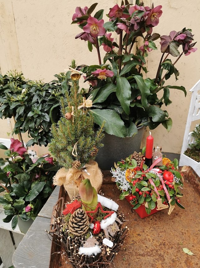 Impressionen vom Weihnachtsmarkt in Quedlinburg