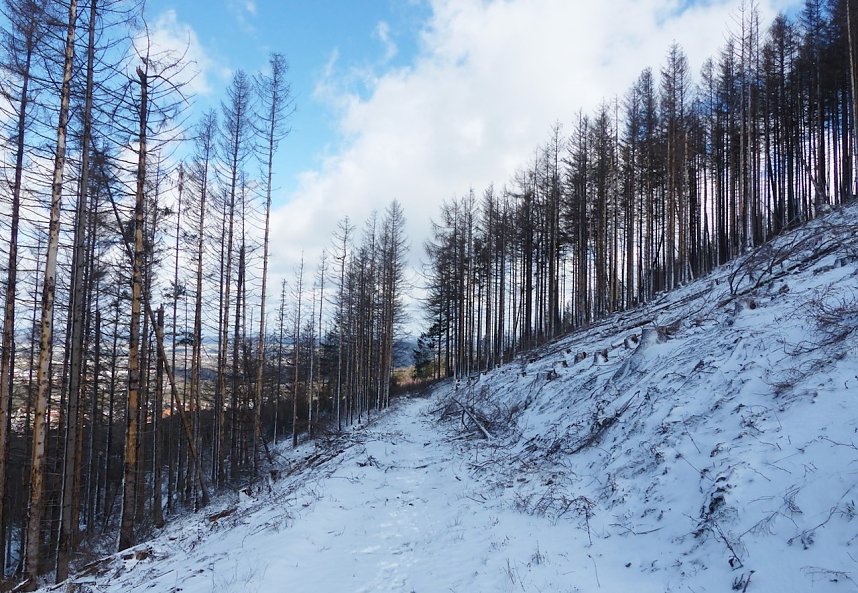2. Foto Wanderung im Harz