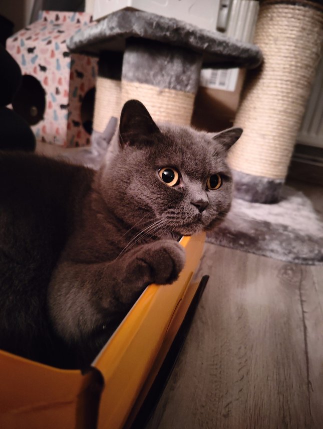 Momentaufnahme: "Selbstverpackt"