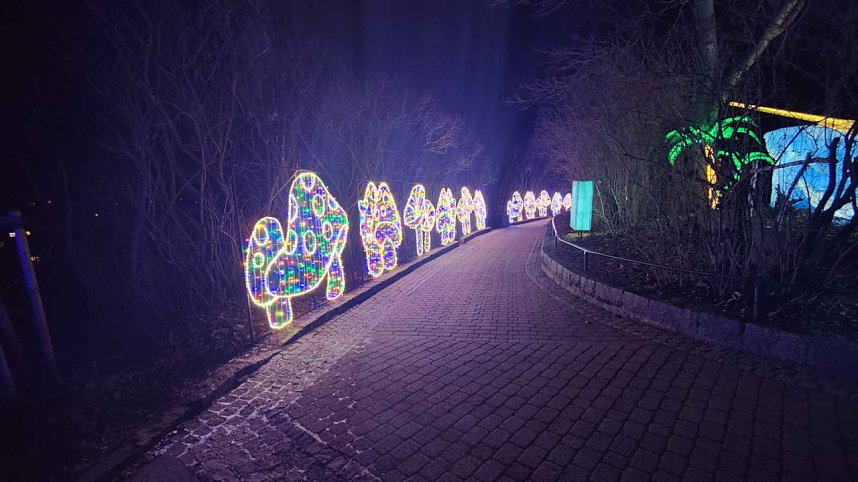 Peter Blei unterwegs in magischen Lichterwelten