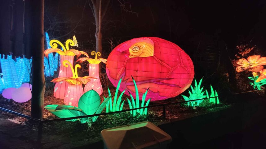 Peter Blei unterwegs in magischen Lichterwelten