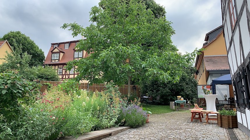 Florale Impressionen aus Bad Langensalza 