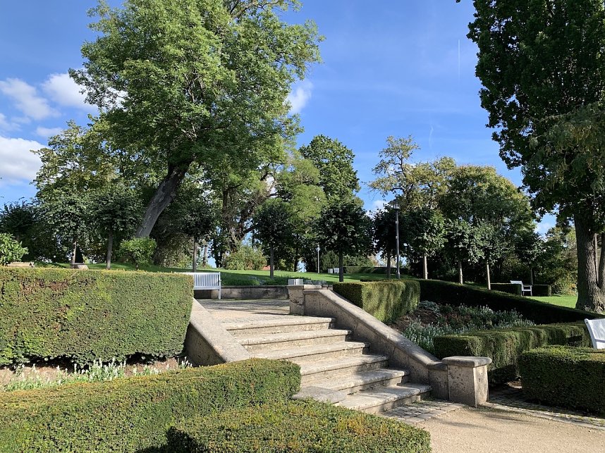 Florale Impressionen aus Bad Langensalza 