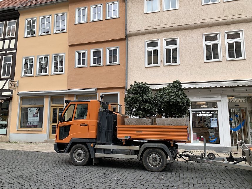 Florale Impressionen aus Bad Langensalza 