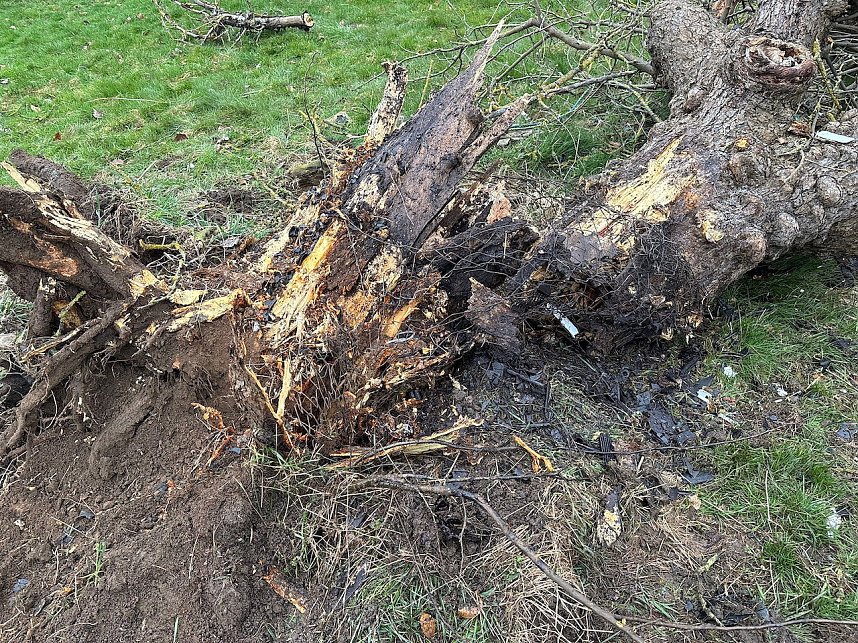 Schwerer Unfall auf der B249 in Rockensu&szlig;ra