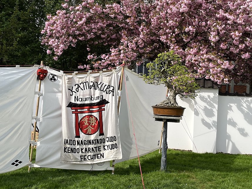 Hanami im Japanischen Garten Bad Langensalza