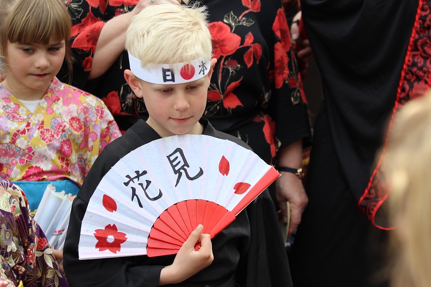 Hanami im Japanischen Garten Bad Langensalza