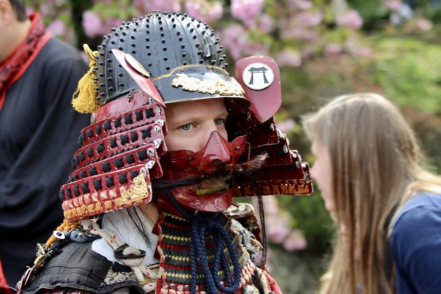 Hanami im Japanischen Garten Bad Langensalza