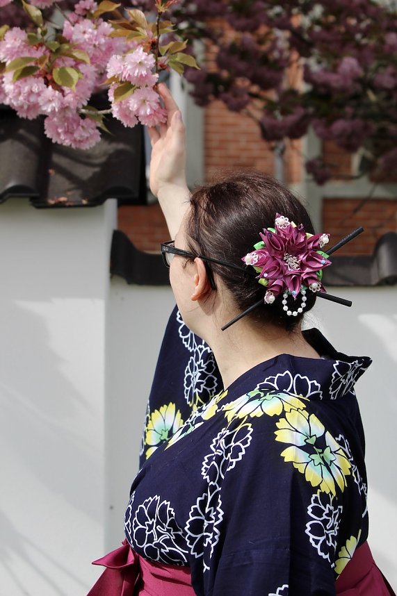 Hanami im Japanischen Garten Bad Langensalza