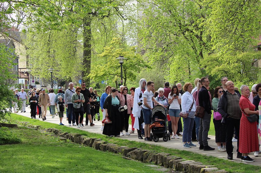 Hanami im Japanischen Garten Bad Langensalza