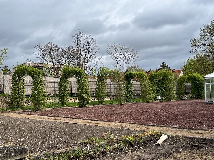 Der Botanische Garten steht kurz vor seiner Wieder-Er&ouml;ffnung. N&auml;chste Woche werden die Beete und H&auml;user gef&uuml;llt. 