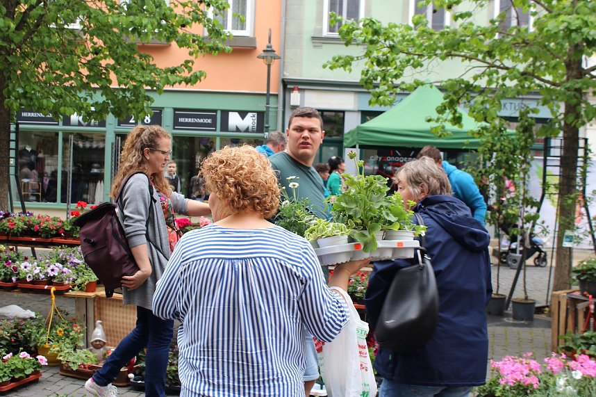 Gr&uuml;nes innenstadtfest in Bad Langensalza 