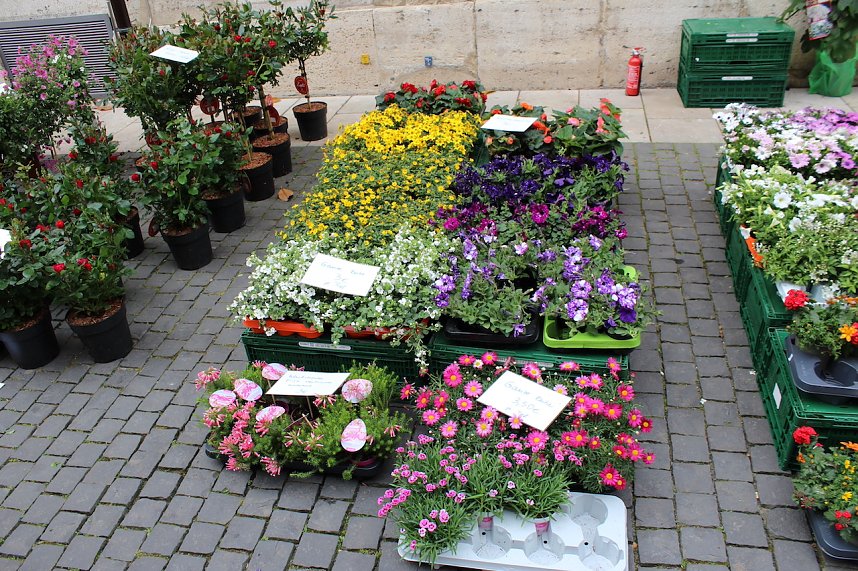 Gr&uuml;nes innenstadtfest in Bad Langensalza 