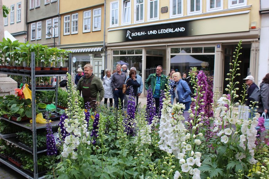Gr&uuml;nes Innenstadtfest in Bad Langensalza