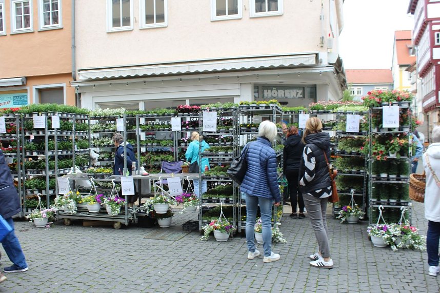 Gr&uuml;nes Innenstadtfest in Bad Langensalza
