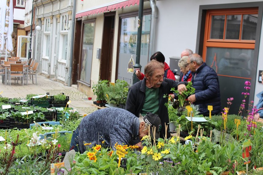 Gr&uuml;nes Innenstadtfest in Bad Langensalza