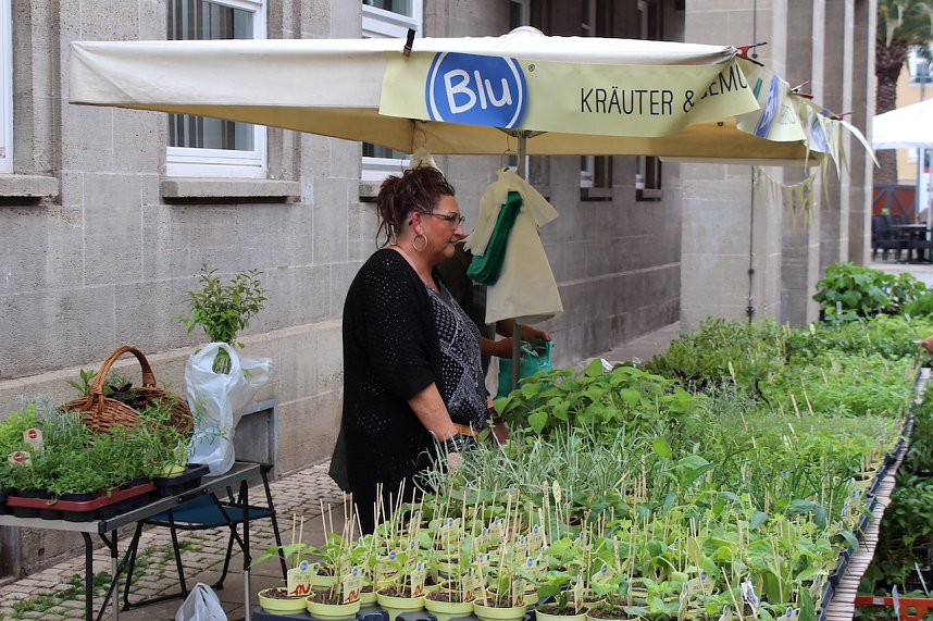 Gr&uuml;nes Innenstadtfest in Bad Langensalza