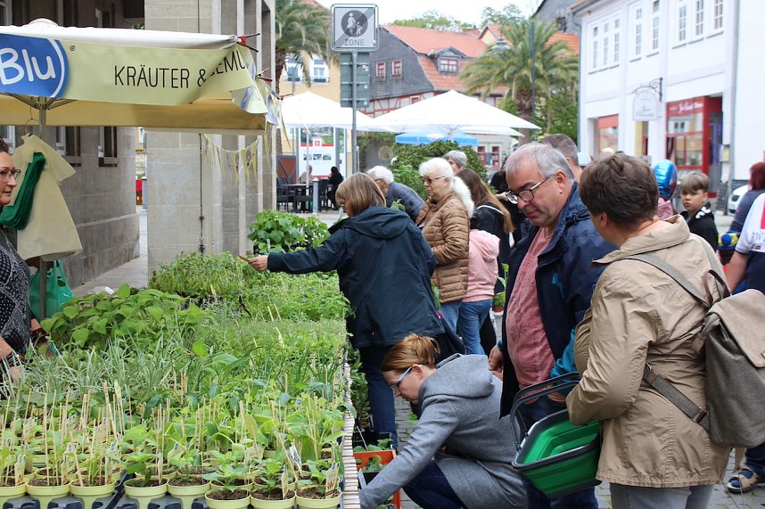 Gr&uuml;nes Innenstadtfest in Bad Langensalza
