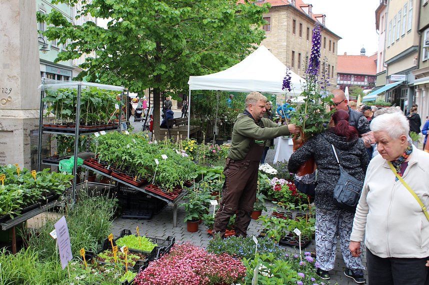 Gr&uuml;nes Innenstadtfest in Bad Langensalza