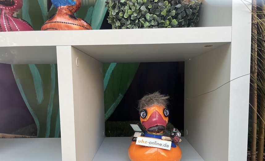 Da sitzt sie nun im Schaufenster und harrt der Dinge, die da kommen sollen