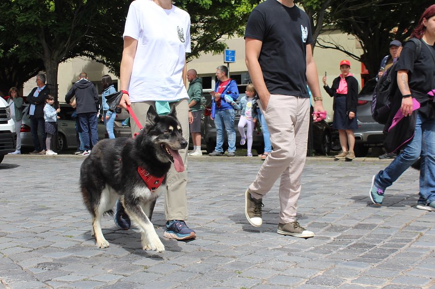 Farbenfroher Festumzug zum 211. Brunnenfest in Bad Langensalza