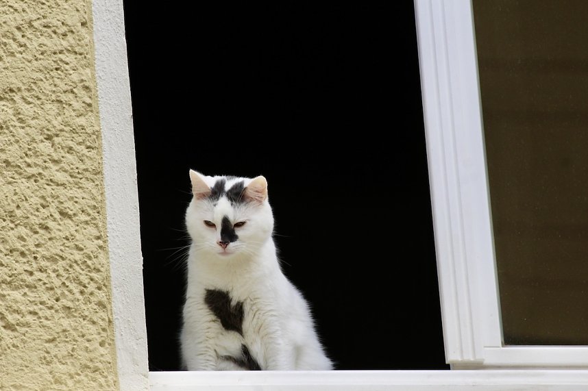 211. Brunnenfestumzug in Bad Langensalza mit vielen fr&ouml;hlichen Akteuren