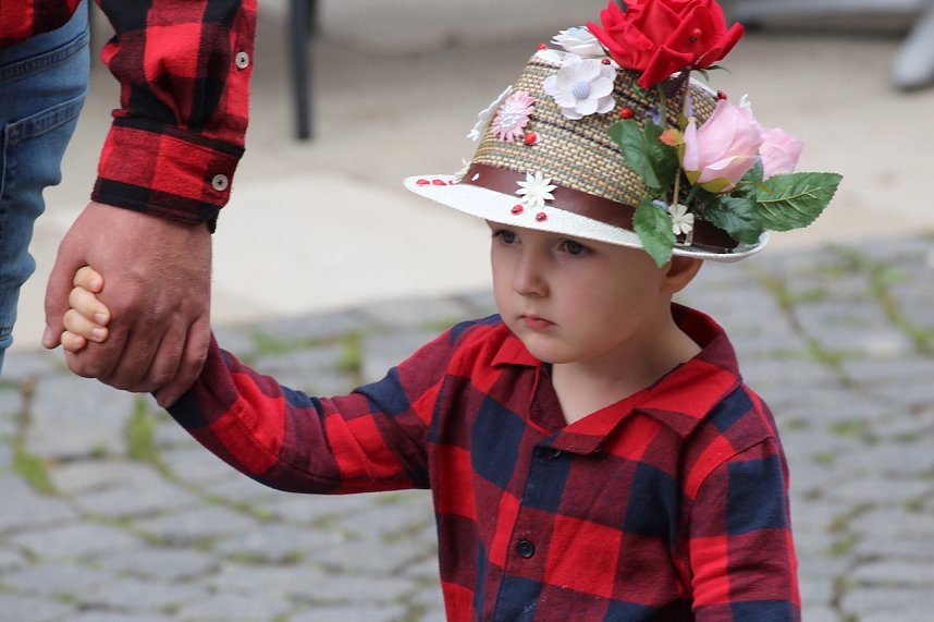211. Brunnenfestumzug in Bad Langensalza mit vielen fr&ouml;hlichen Akteuren